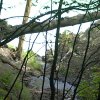Tour 9: NP-Jasmund